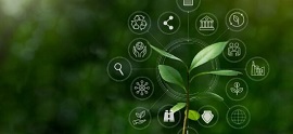 Mondragon Unibertsitatea’s Faculty of Business Studies leads the European SAMExperience project to foster sustainable alliances in SMEs